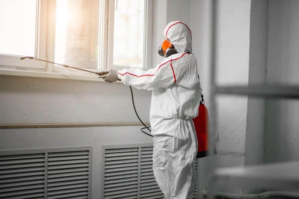 Professional mold remediation services in Key Colony Beach, FL
